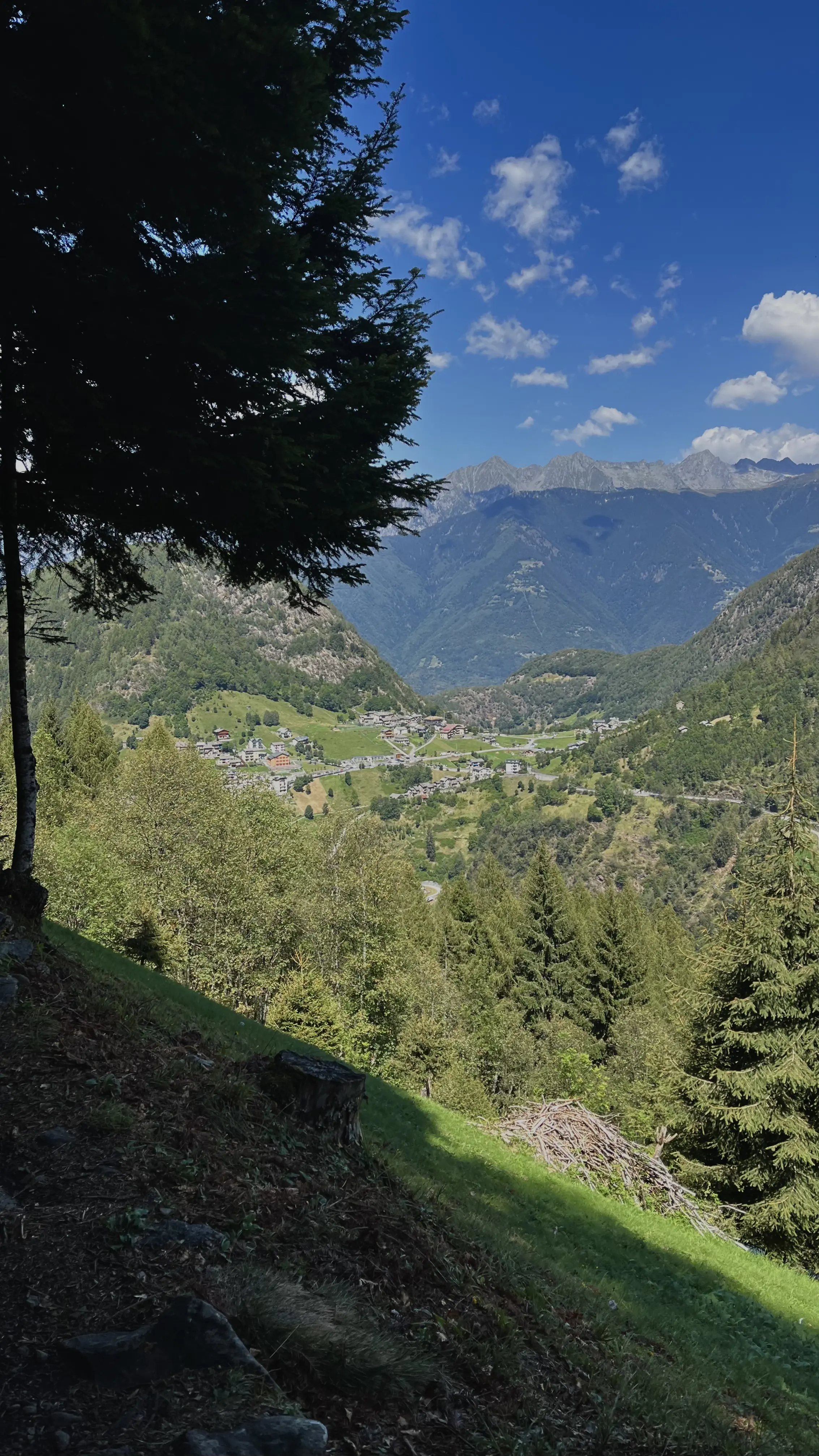 Montane vicino al ponte nel celo